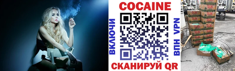 Купить закладки  Курчалой  COCAIN Fish Scale 