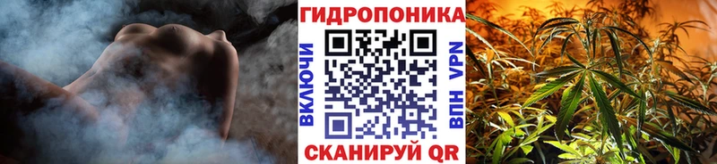 Купить  Курчалой  Канабис тримм 